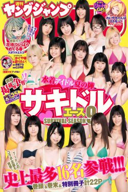 电视剧渡江侦察记
